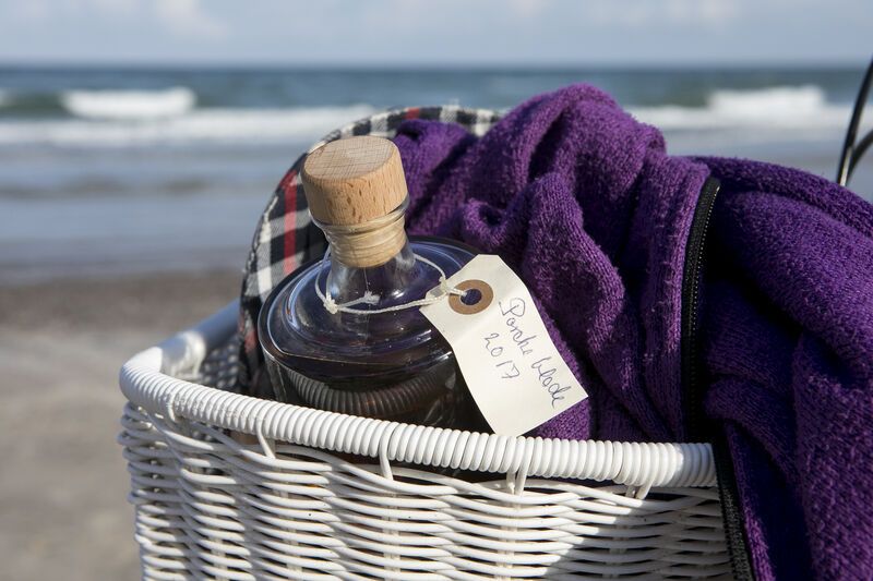 Søstjernerne - vinterbadning - Blokhus strand - Blokhus Avis