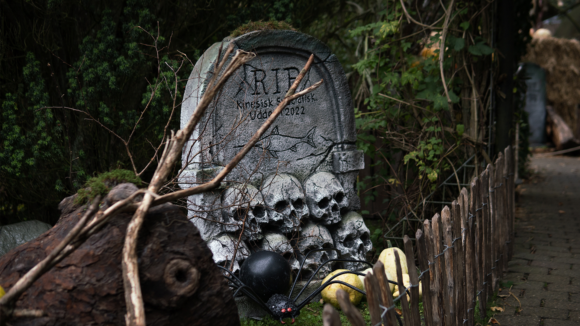 Aalborg Zoo halloween (2)