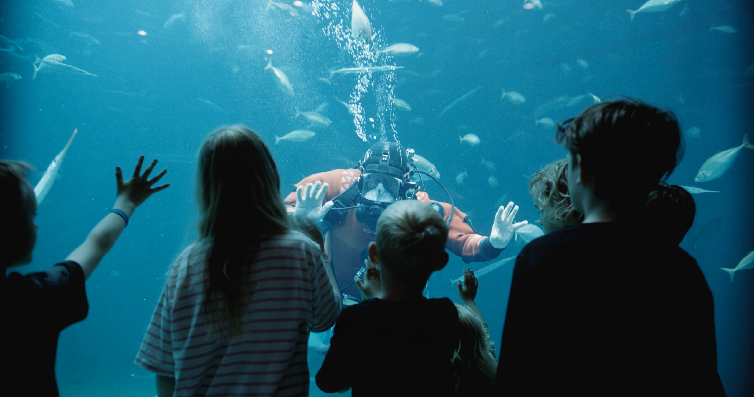 Nordsøen oceanarium Zoolympiske Lege på Nordsøen Oceanarium Nordsøen oceanarium Zoolympiske Lege på Nordsøen Oceanarium