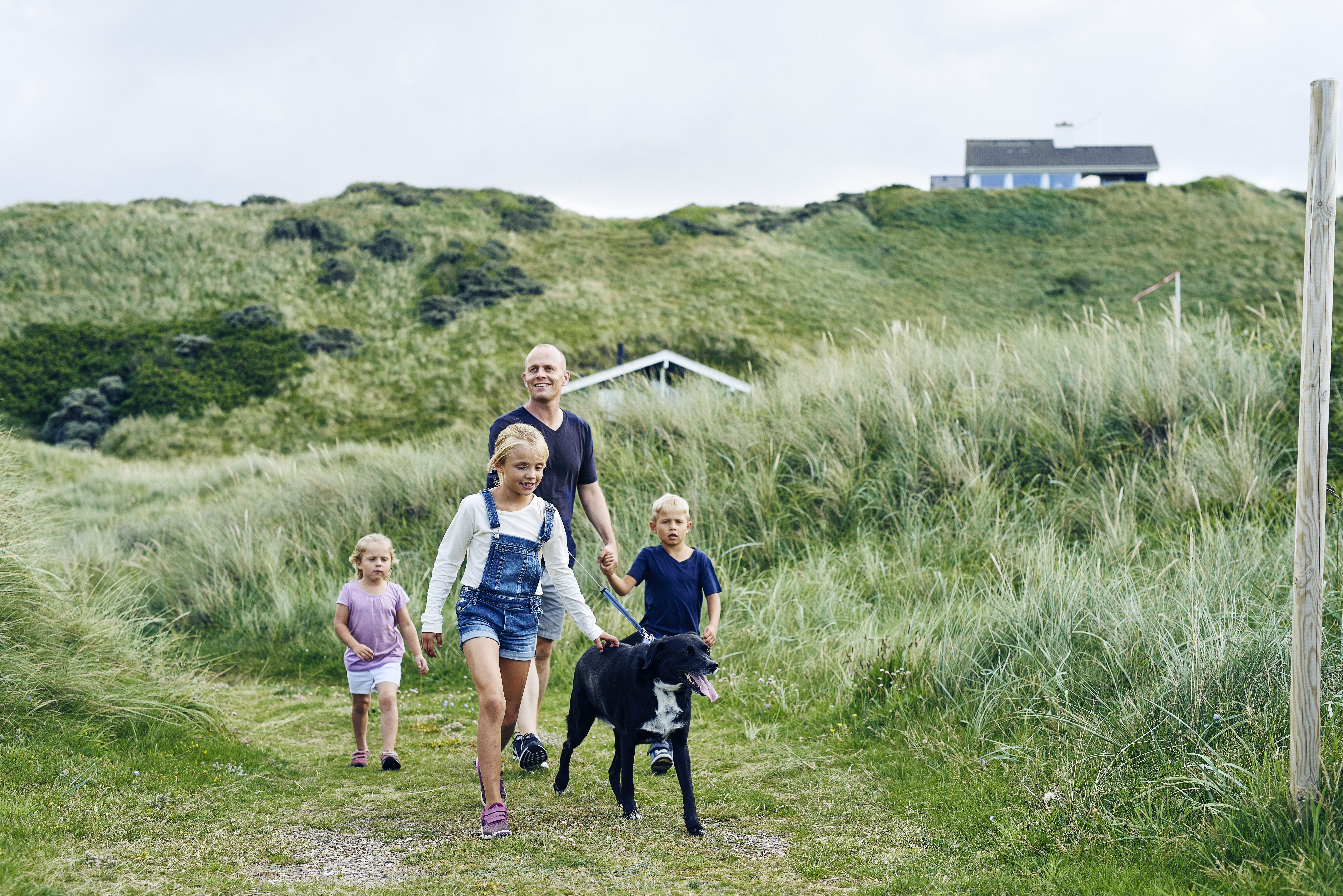 NATUR STIERBlokhus ferie by strand familie (41)
