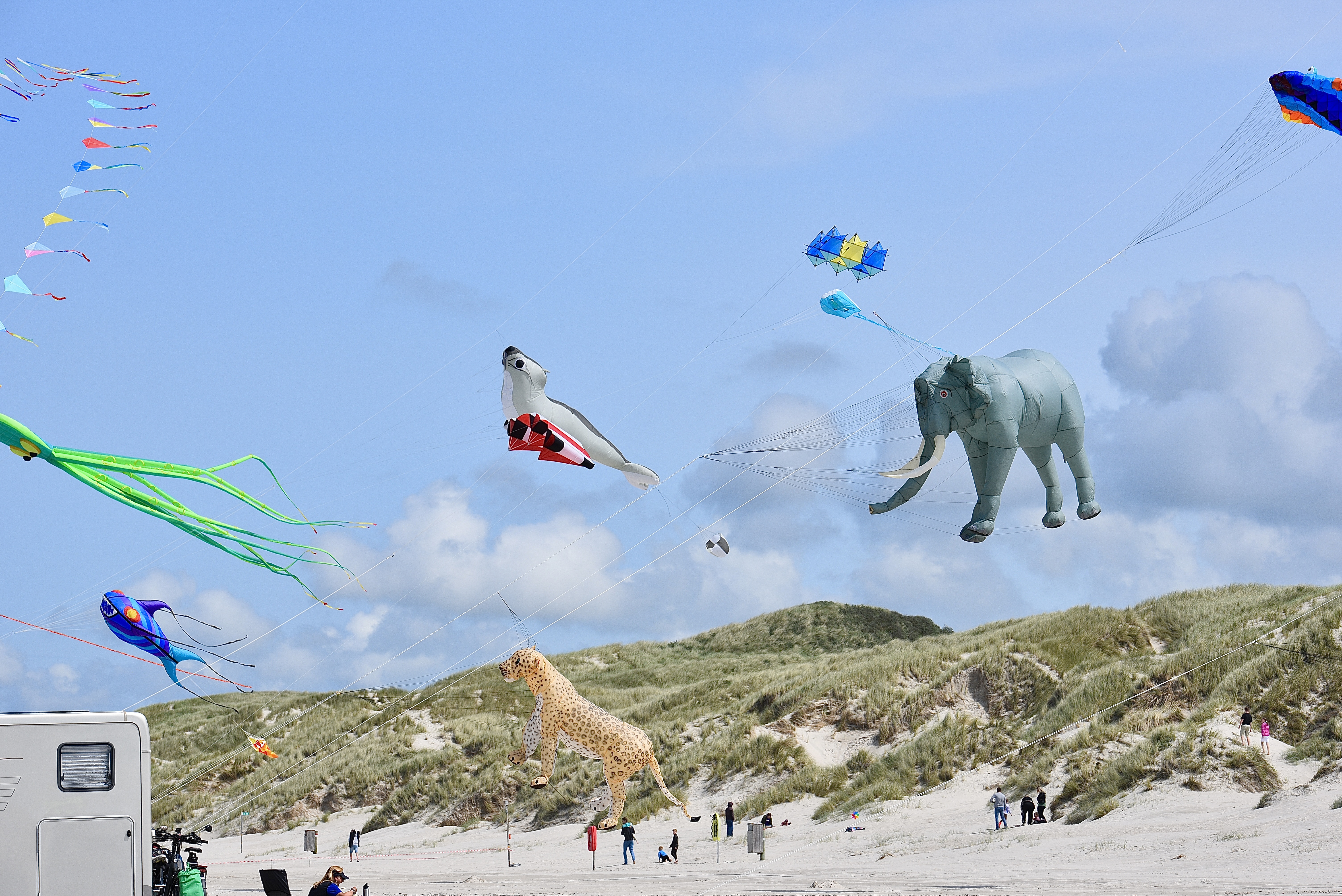windfestival 2025 (251)