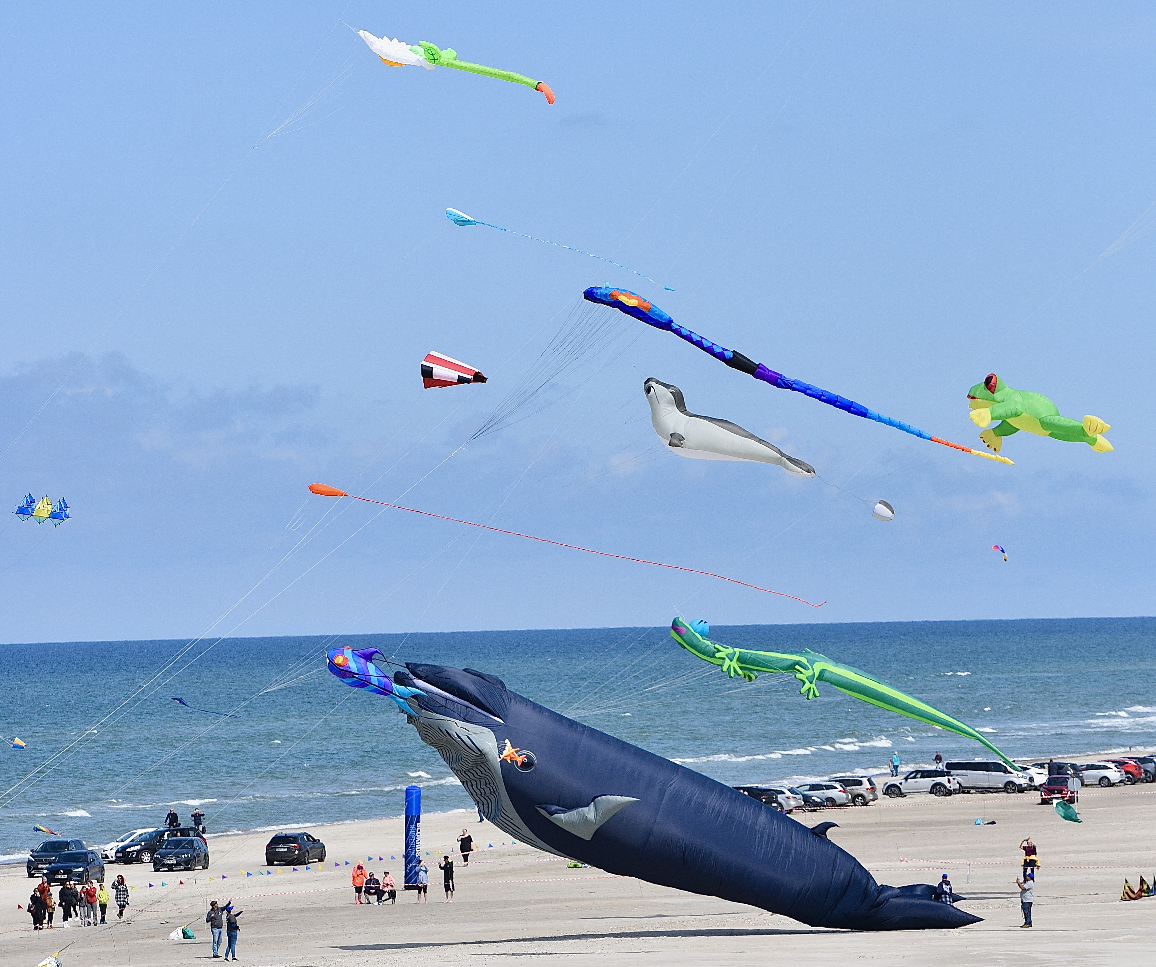 windfestival 2025 (315)