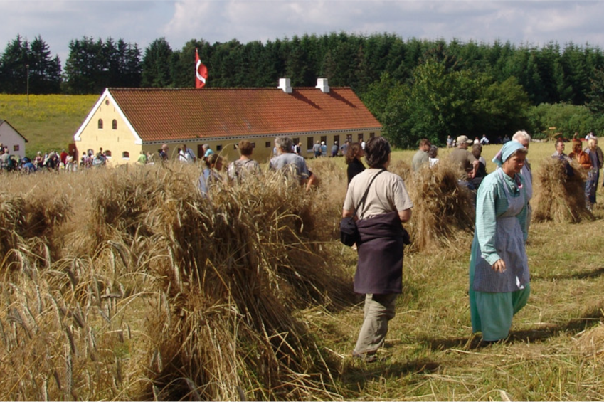 Husmandsstedet Vensyssel Museum