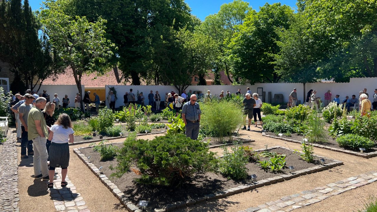 Museums og urtehaven